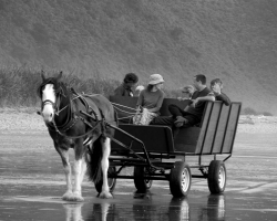 Become part of the Barrytown history. Barrytown, near Punakaiki
