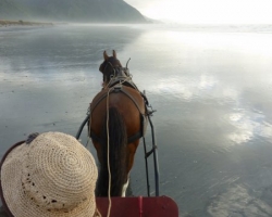 Traveling South towards Greymouth. Barrytown, near Punakaiki
