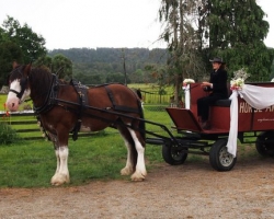 All ready for a West Coast wedding.